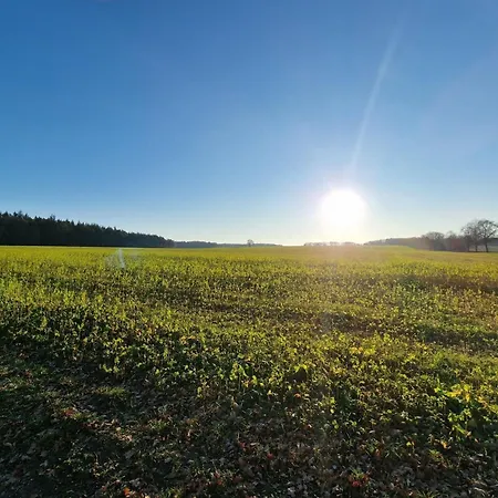 Auf Dem Hennig-hof
